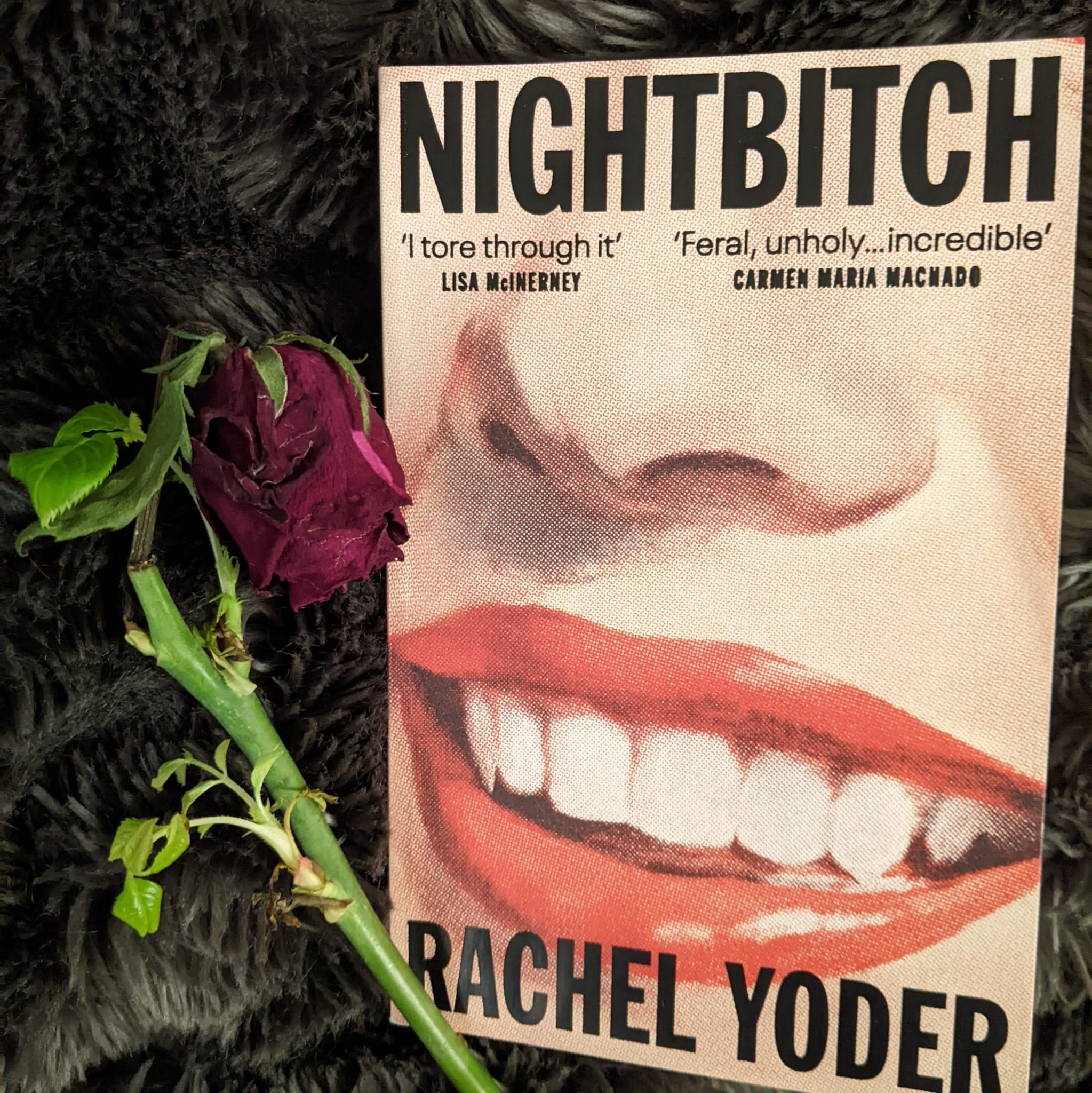 A picture of the novel against roses