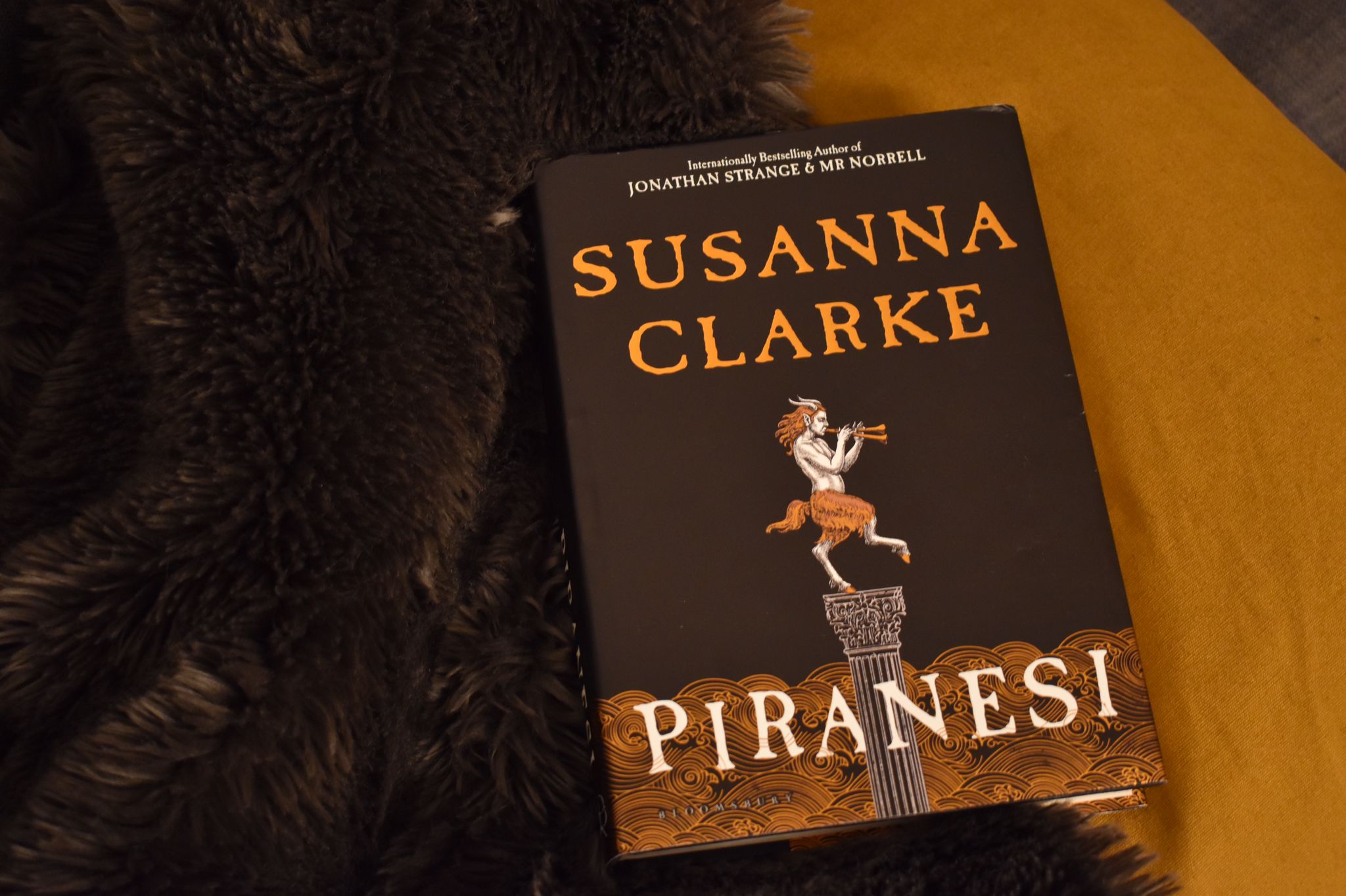 An image of a copy of the Piranesi book